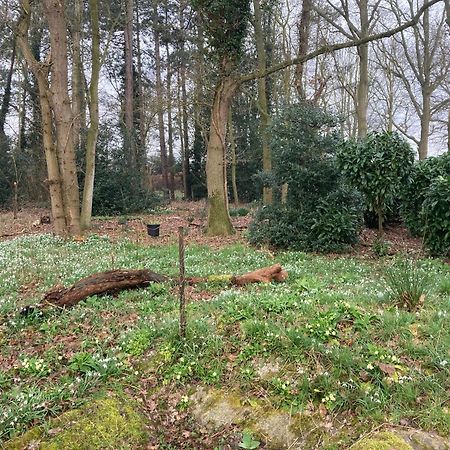 Woodland Retreat, Market Lane, Blundeston, Lowestoft Eksteriør billede