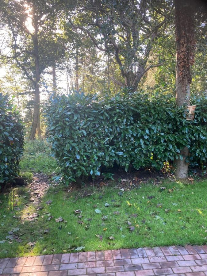 Woodland Retreat, Market Lane, Blundeston, Lowestoft Eksteriør billede