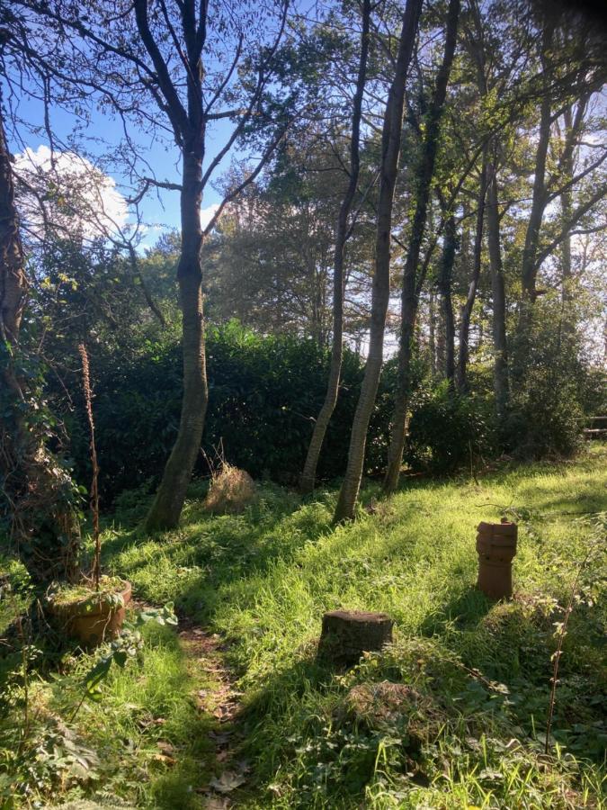 Woodland Retreat, Market Lane, Blundeston, Lowestoft Eksteriør billede